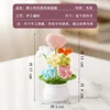Cherry blossom pink heart forget-me-not potted plant