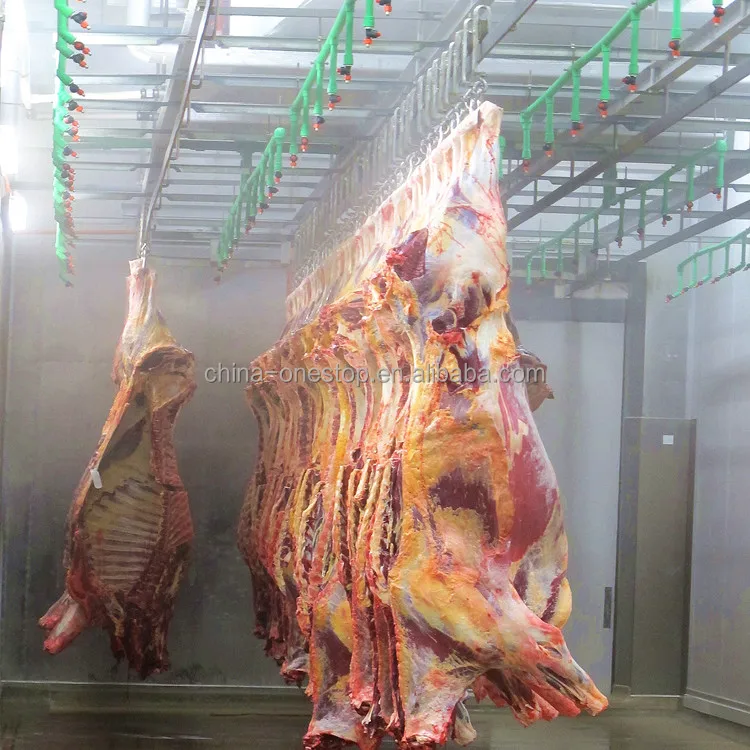 Cow slaughterhouse with meat processing and boning machines