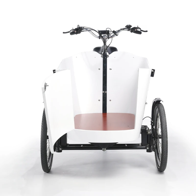 Factory Wholesale Price Durable Heavy Loading Cargo Electric Bike 3 Wheel Tricycle Bike Family Trike From China