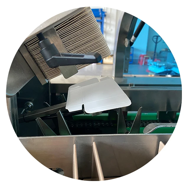 Carton Packing Machines for Pouches Acculating Tera Pack Carton Machine Egg-carton/box-packing Machine
