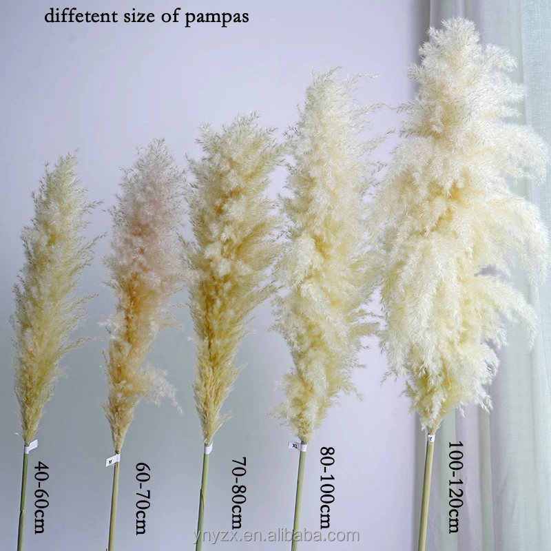 Wholesales Pampas Grass 120cm For Decoration Fluffy Reed Large Tall