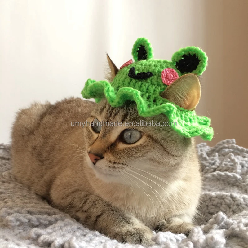 cats with frog hats