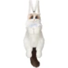Ragdoll