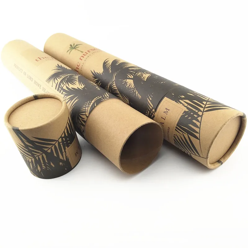 Custom Recycled Kraft Paper Cardboard Cylinder Poster Packing and Mailing Tube