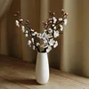 Vertical vase with 3 white plum blossoms
