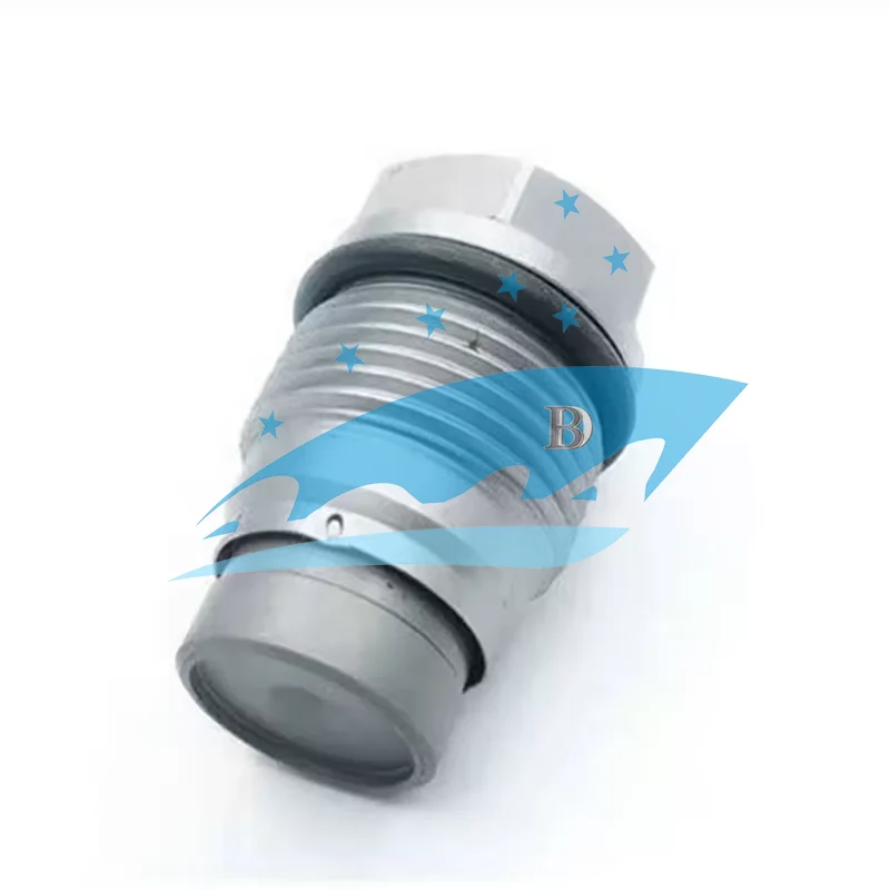 Pressure Relief Valve 1110010015 Fuel Pressure Limiting Valve Fuel ...