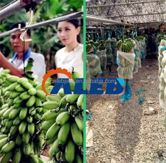 High Productivity Banana Rail Conveyor - Ropeway Transport