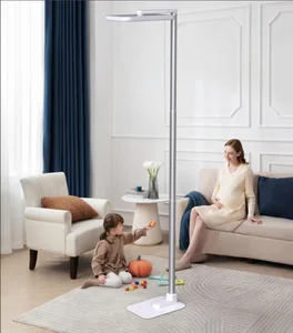 New Arrival Work Study Floor Lamp Nordic Modern Office Indoor Standing Floor Lamps for Standing Height Adjustable