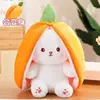 Lapin carotte jaune