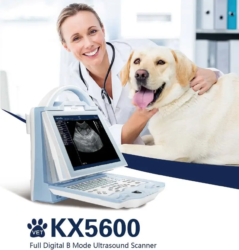 Equine Cattle Cow Camels Goat Dog Cat Veterinary Ultrasound Machine 