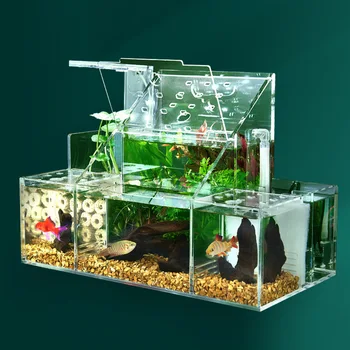 View of Self-circulating Breeding&incubation Fish Tank Acrylic Sick Fish ...