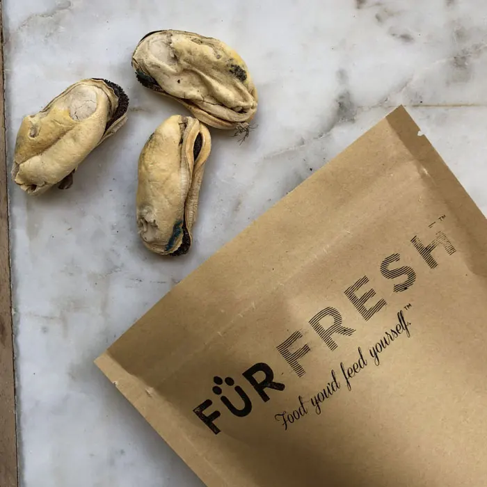 pet treats cat treats freeze dried nz green lipped mussels 50g