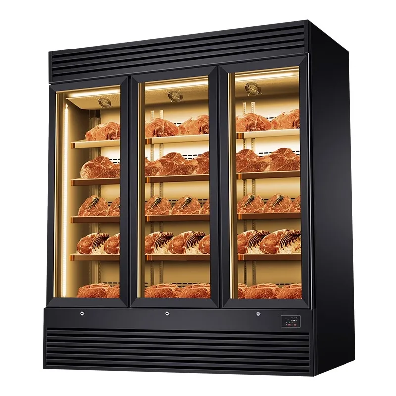 Maturation Beef Dry Ager Dry Aging Fridge Beef Dry Age