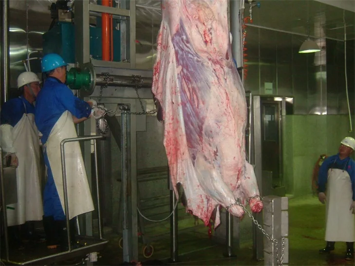 Cattle Cow Pneumatic Lift Platform for Cattle Slaughterhouse