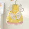 Lazo amarillo