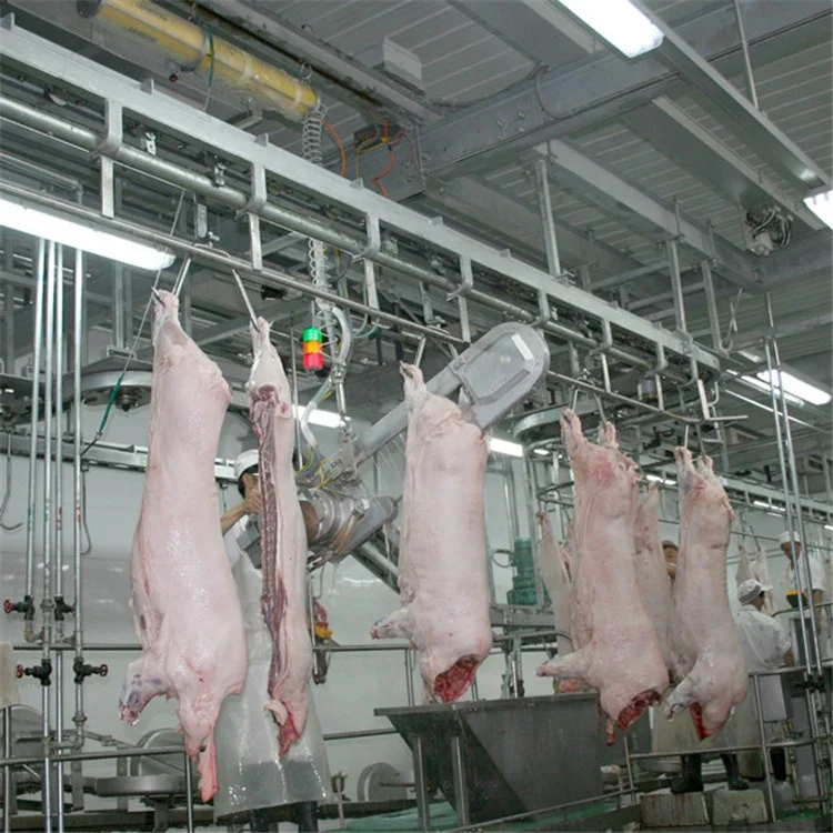 Fully automatic pig slaughtering line in slaughterhouse