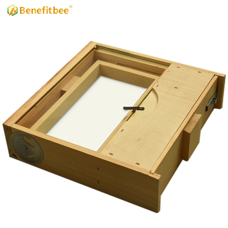 Benefitbee Beekeeping Mini Beehive Transparent Bee Hive Observation Beehive