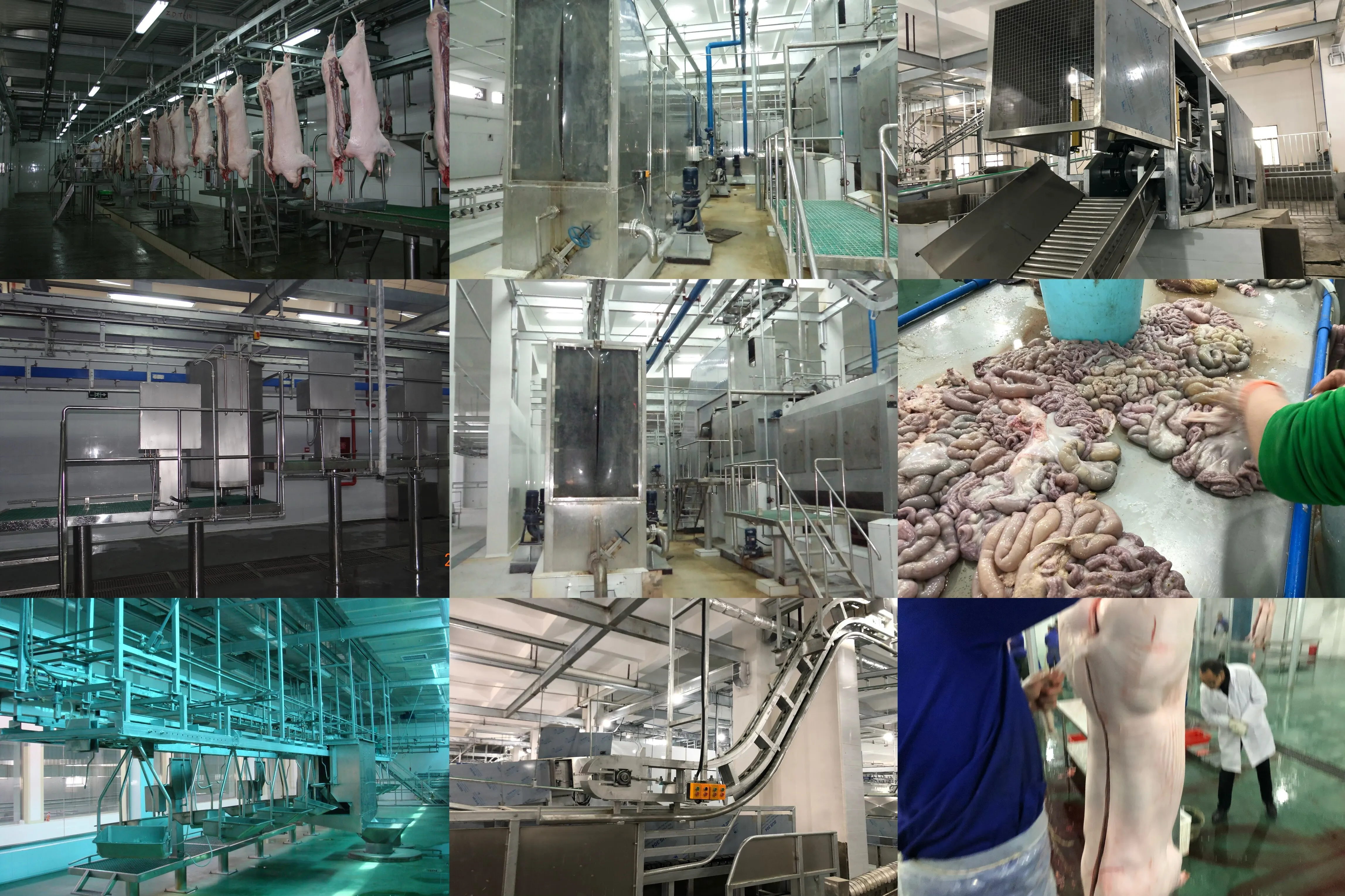 Automatic Heat Shrink Packaging Machine - High Speed Shrink Packaging Machine for Food and Product Packaging Solutions