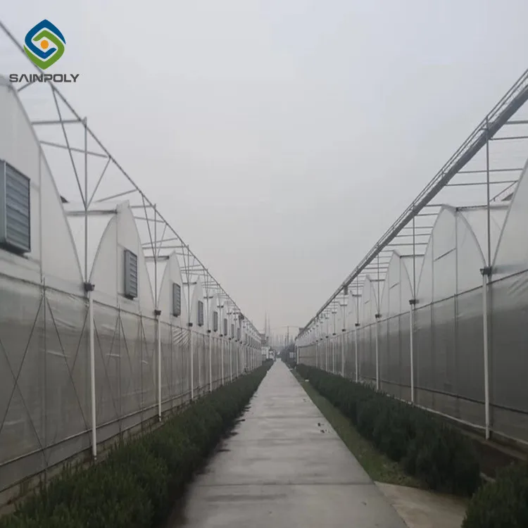 Factory Direct 1000M2 Greenhouse Smart English Design with PVC and Film Material