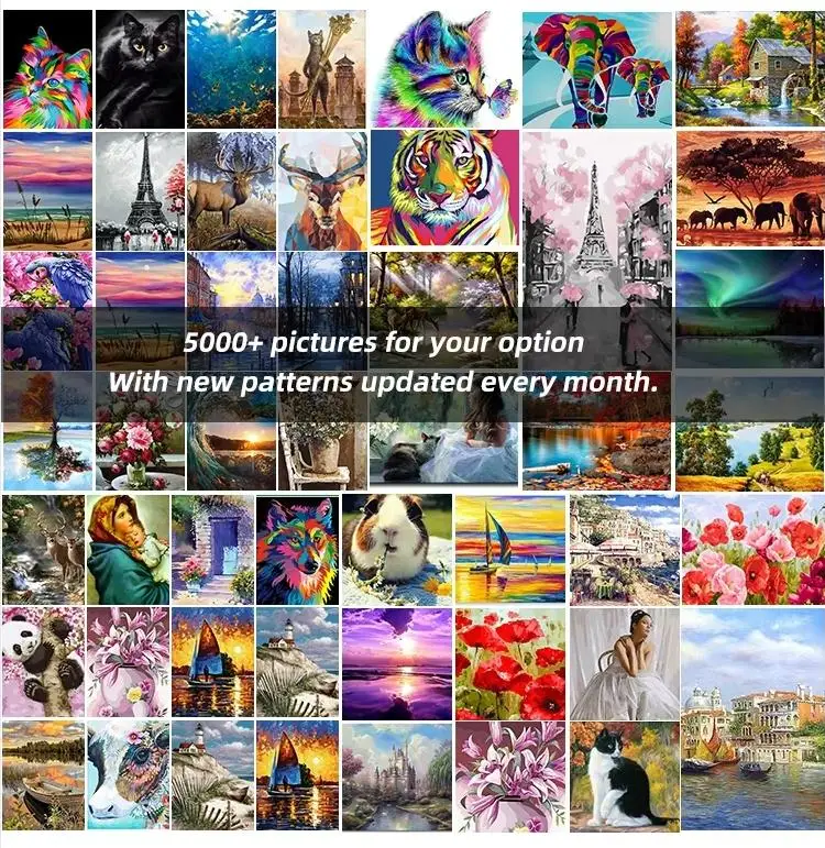 Van Gogh Starry Night Paint by Numbers Kit for Adults DIY Oil Painting Art on Canvas with Brushes