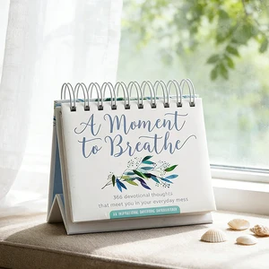 New Arrival Custom Diary Daily Flip Calendar With 366 Devotional Thoughts That Meet You in Your Everyday Mess Calendar