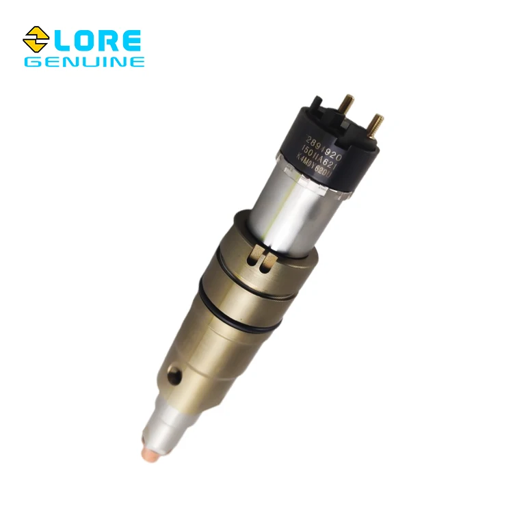 For Machinery Fuel Injector Injector Nozzle Diesel Injector 2894920 Buy Fuel Injector Cleaning