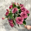 BH009-Rosa