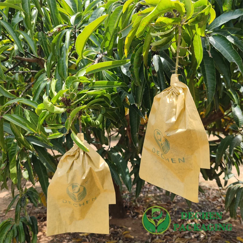 Mangoes Protection Protect Sri Lanka Mango Paper Covering Bag