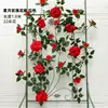 เถาวัลย์กุหลาบเทพธิดาดวงดาวและดวงจันทร์ - สีแดง