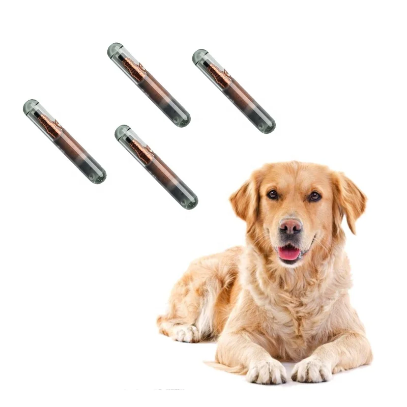 Iso 11784 11785 Rfid Micro Chip for Animals Camel Dogs  Pet Microchip Nfc Glass Capsule Pit Tag
