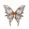 Brown #06