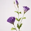 Viola intenso