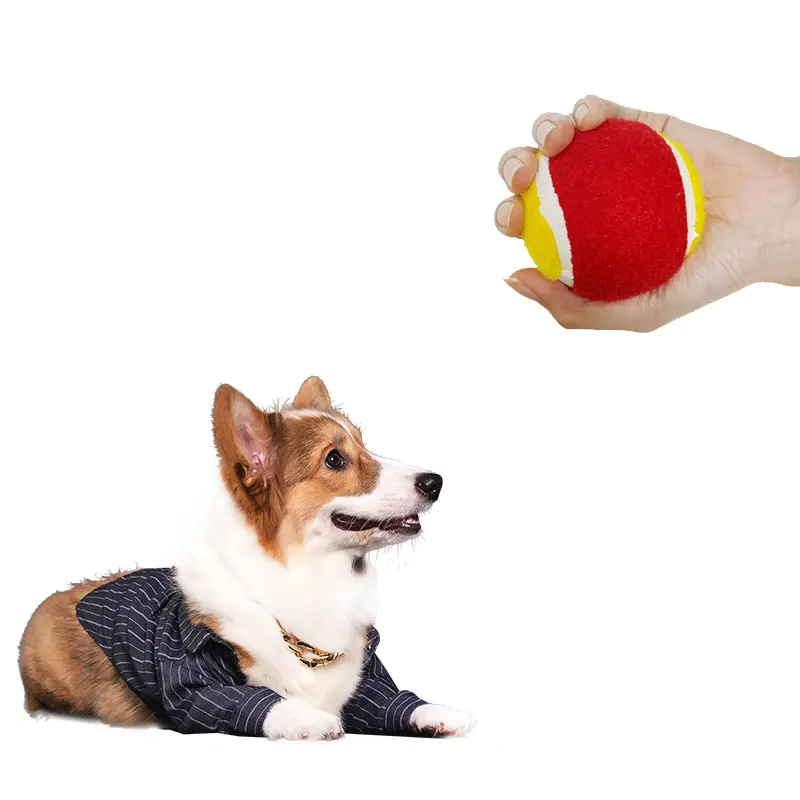 Rubber outdoor pet training toy pet tennis dog ball  Manufacturers Professional Wholesale