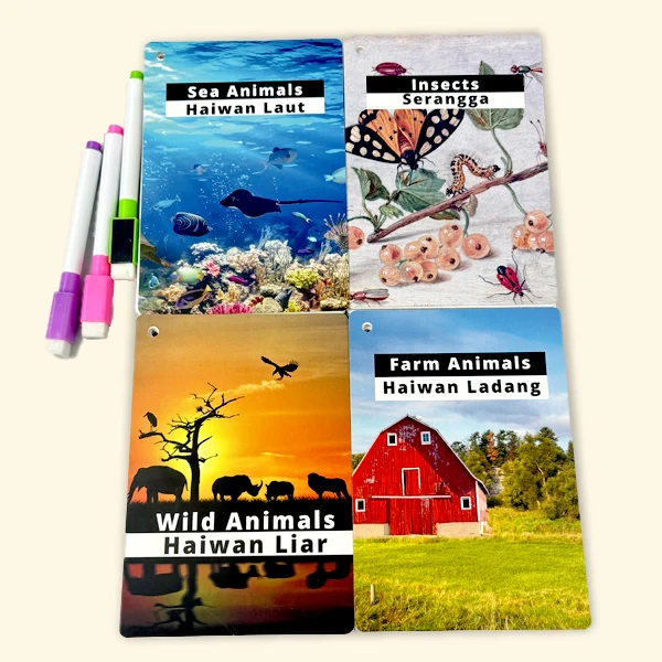 High Quality Custom Making English Animal and Plant Pattern Flash Card Wholesale Custom Print Logo Kids Educational Flashcards