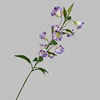Viola chiaro