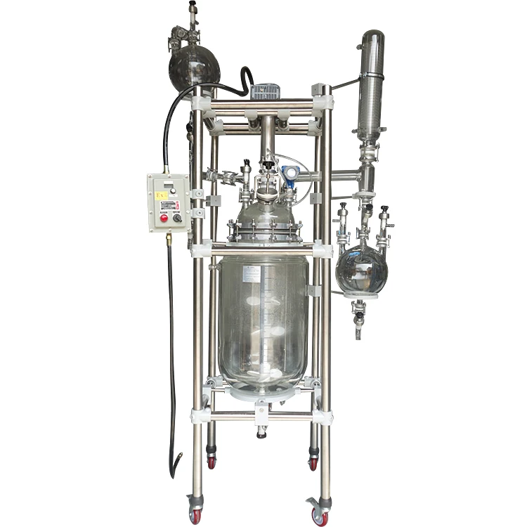 2L 5L 10L 20L  jacketed bioreactor for bacterial fermentation