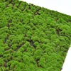 1m x 1m moss