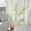 Frutto Jingle verde-90 cm