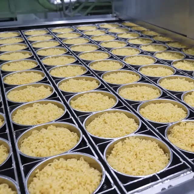 Ningjin FACTORY Price Fried & Non-fried Instant Noodle Fryer Cell and Cover for Instant Ramen Noodle Maker 5