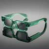 Monture verte transparente-verres gris noir