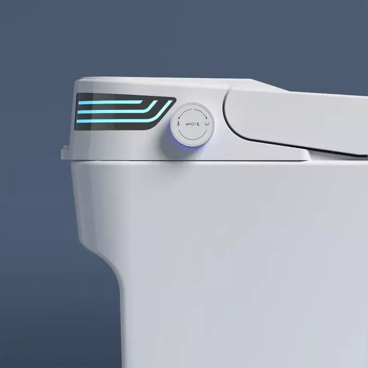 Ceramic Sensor Inodoro Intelligent Sanitary Ware Automatic Wc Floor Mounted Monarch Smart Toilet for Sale