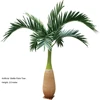 Palmera de botella