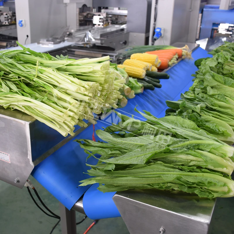 Автоматическая упаковочная машина для фруктов и овощей