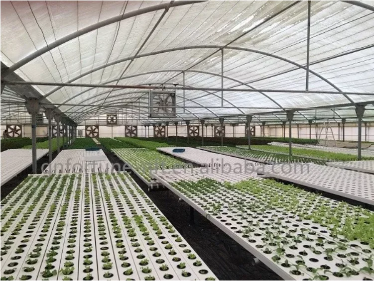 sjzx hydroponic growing system
