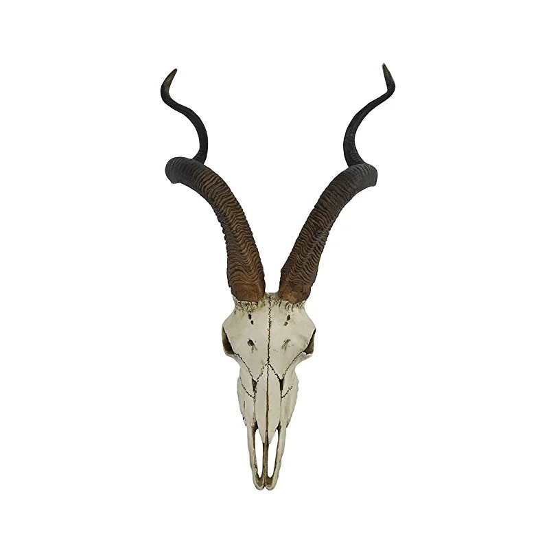 Faux Resin African Kudu Antelope Skull Wall Hanging Cool Twisted Horns Life  Size Antelope Skulls Wholesale - Buy Faux Resin African Kudu Antelope  Skull,Wall Hanging Cool Twisted Horns,Home Decorative Accessories Deer  Headwholesale