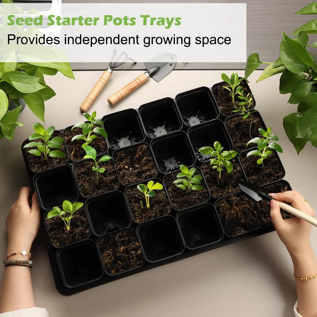 RooTrimmer 2.8 Inch (7CM) Square Nursery Pots 120pcs with 5 Pack Seed Starter Trays, Durable Plastic Flat Seedling Tray