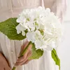 สีขาว