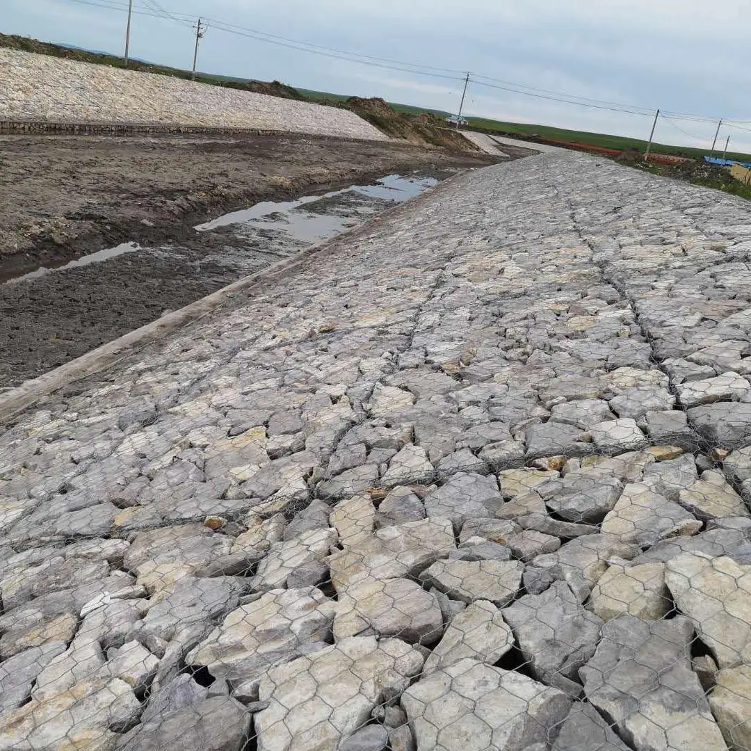 Gabion Wire Mesh Box Pvc Coated Gabion Walls Gabions for Stones