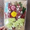 เอ5-10