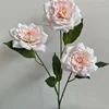 Rosa claro